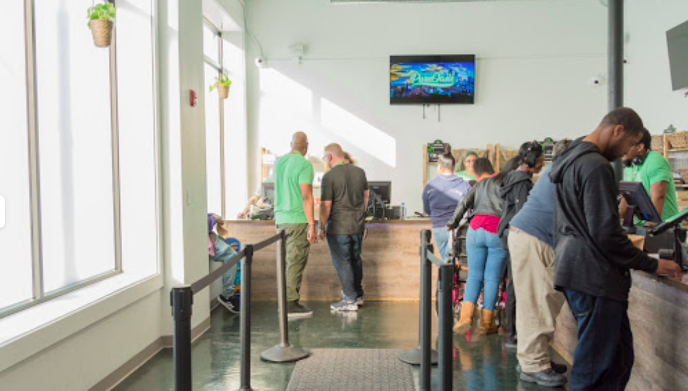 The Best Dispensaries In Massachusetts