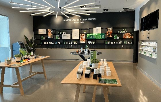 Best Dispensaries In Sebring, FL