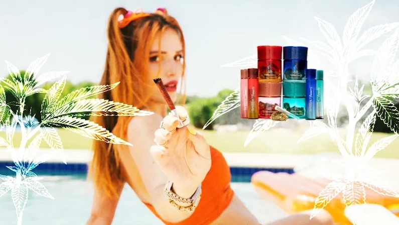 Best Celebrity CBD & Wellness Brands 2025