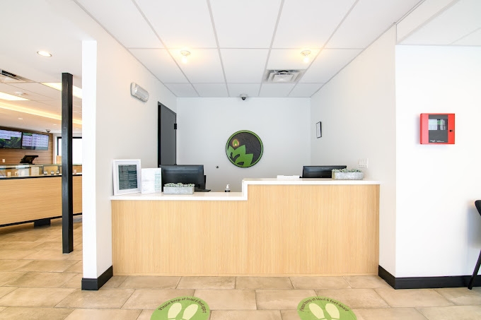 Best Dispensaries In St. Petersburg, FL