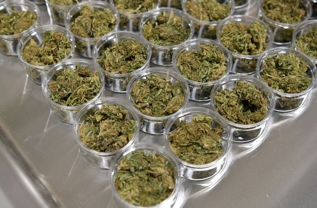 ILGM Review 2023: I love Growing Marijuana Seed Bank