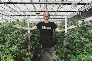 The Best Strains to Grow Indoors