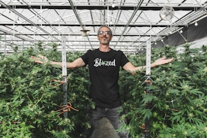 The Best Strains to Grow Indoors