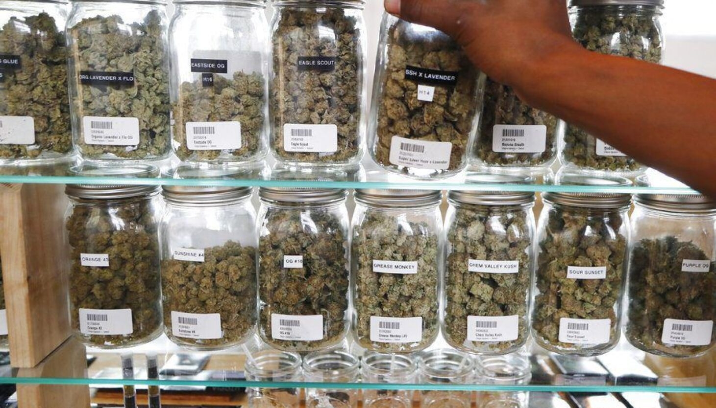 World’s Most Expensive Weed & Least Expensive 2025