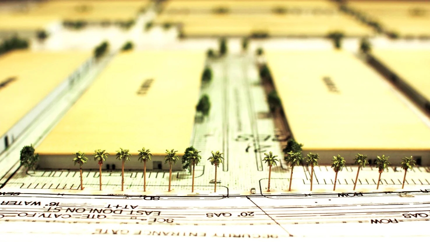 The Top 10 Cannabis Farms In The World 2024