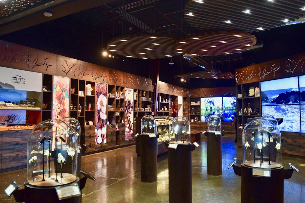 Manzanita Weed Dispensary in Merced