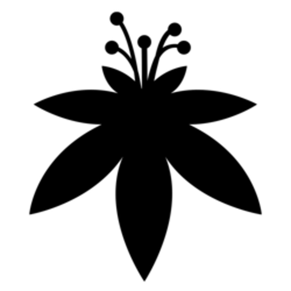 The Flowery Miami Weed Dispensary in Miami