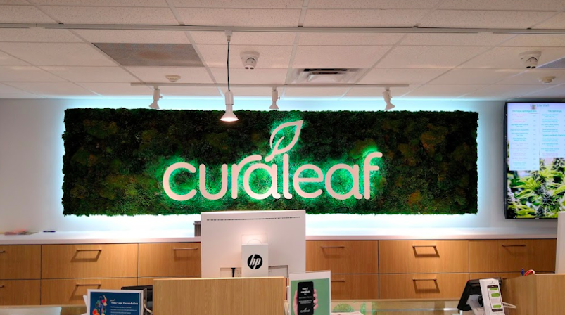 Best 5 Dispensaries In Sarasota, Florida