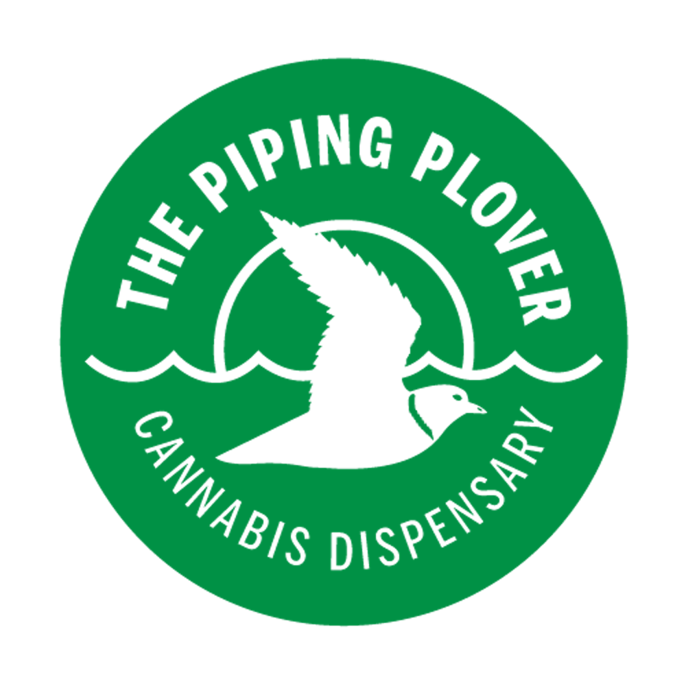 The piping plover
