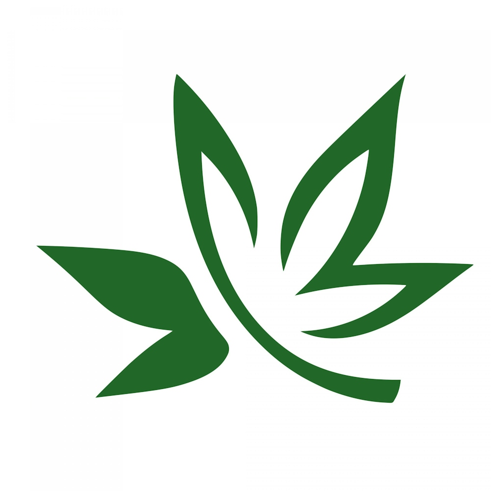Hi Roots logo