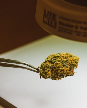 4 Ways To Stretch Your Weed Stash