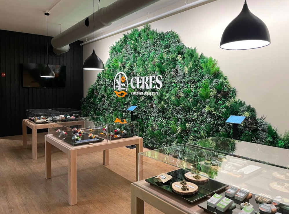 Best 5 Dispensaries In Burlington, Vermont