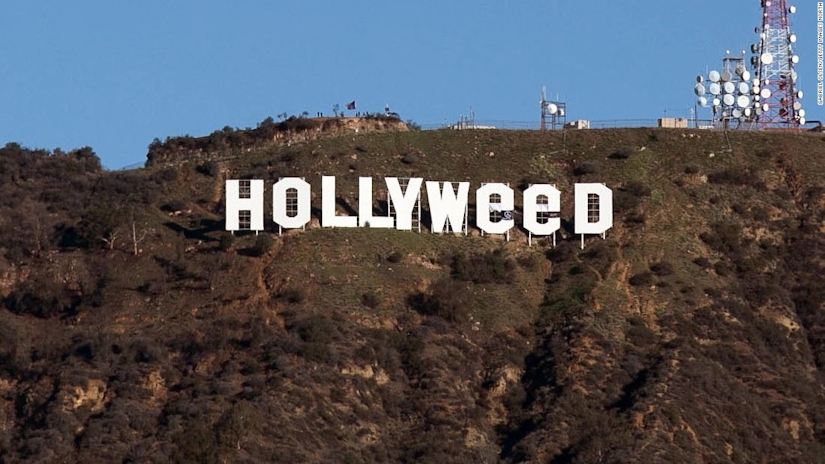 Hollyweed CBD Reviews: Premium Quality