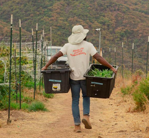The Herbalist: Aster Farms Builds Trust Through Sustainable And Organic Practices