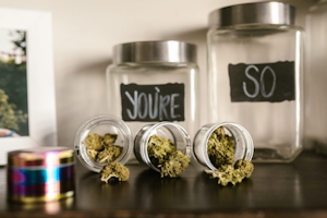 How To Cure Weed In A Jar For Maximum Quality