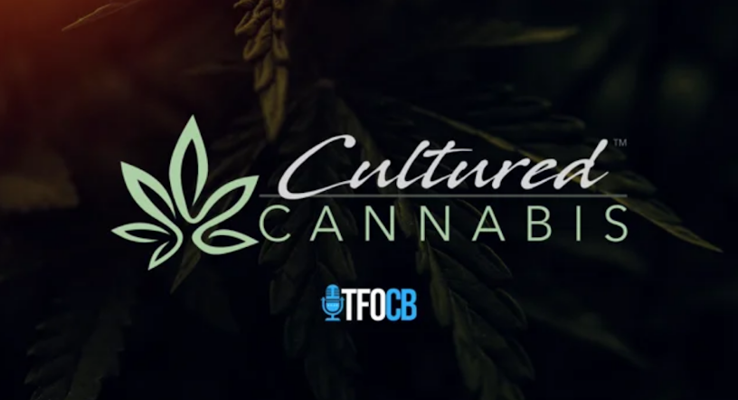 The Top Cannabis Podcasts Of 2025