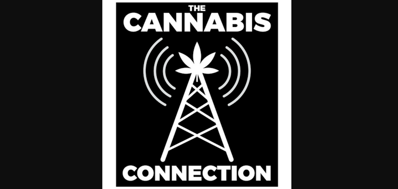 The Top Cannabis Podcasts Of 2025