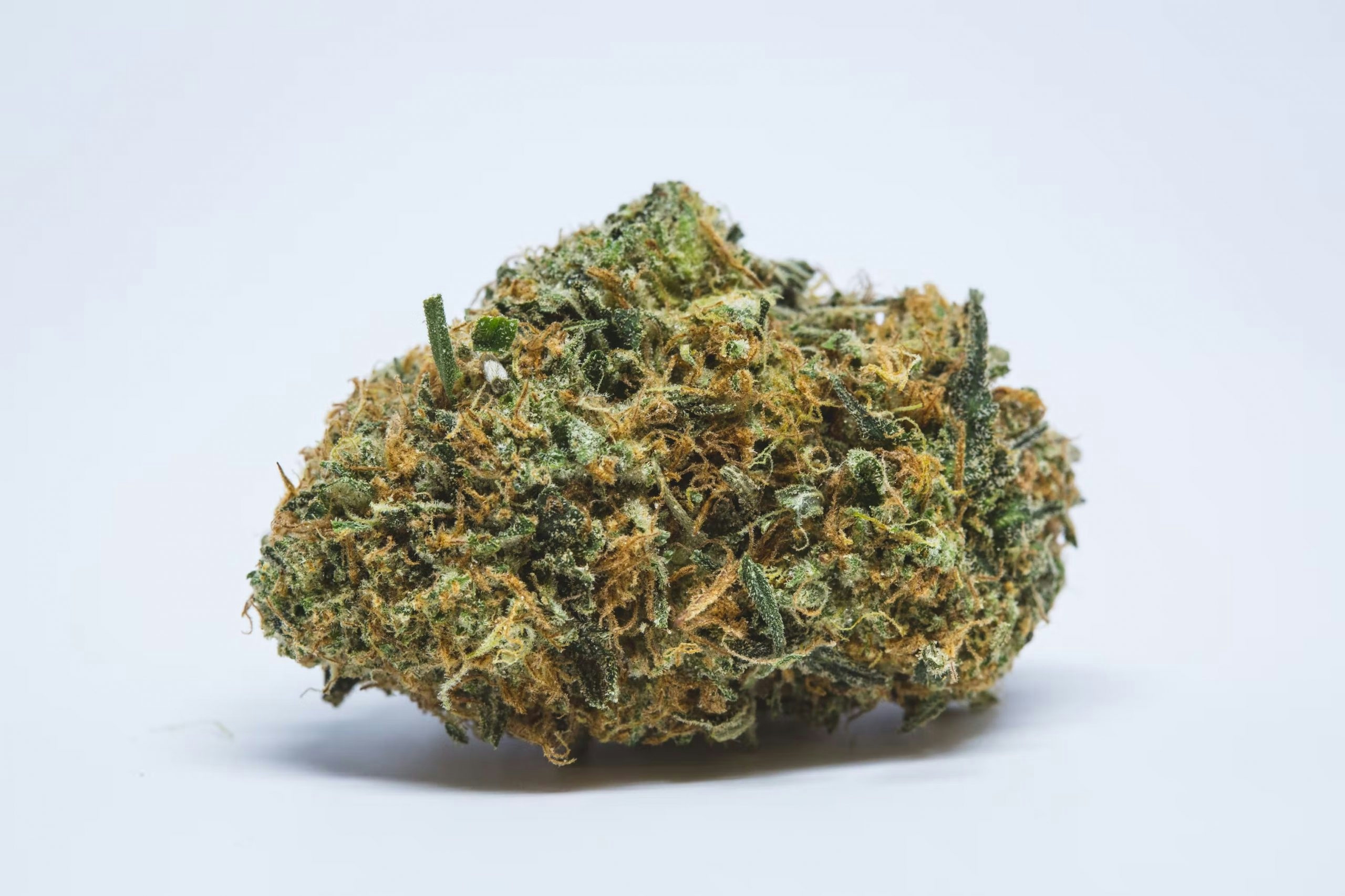 The Best Strains For Stoners Starting Out