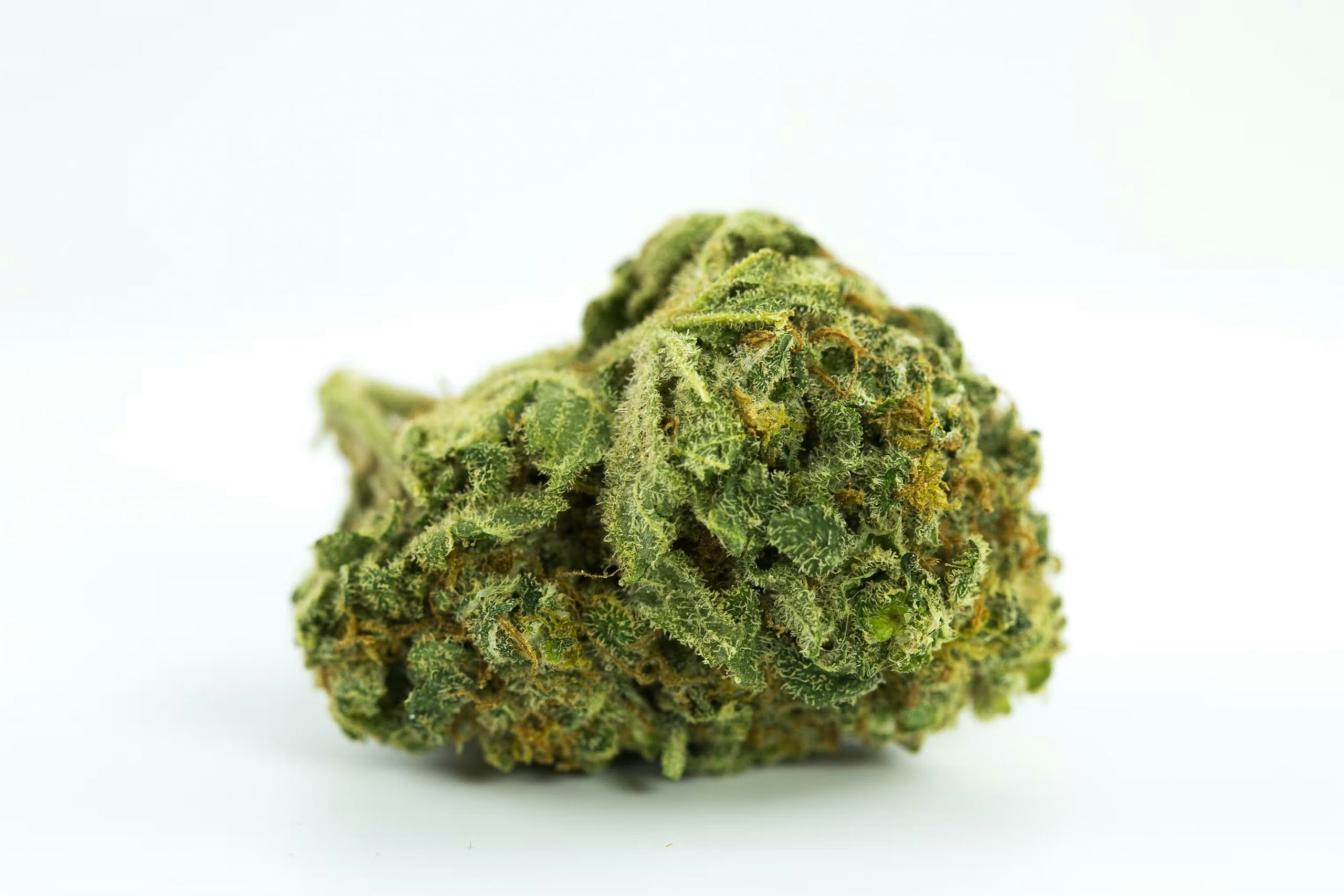 The Best Strains For Stoners Starting Out