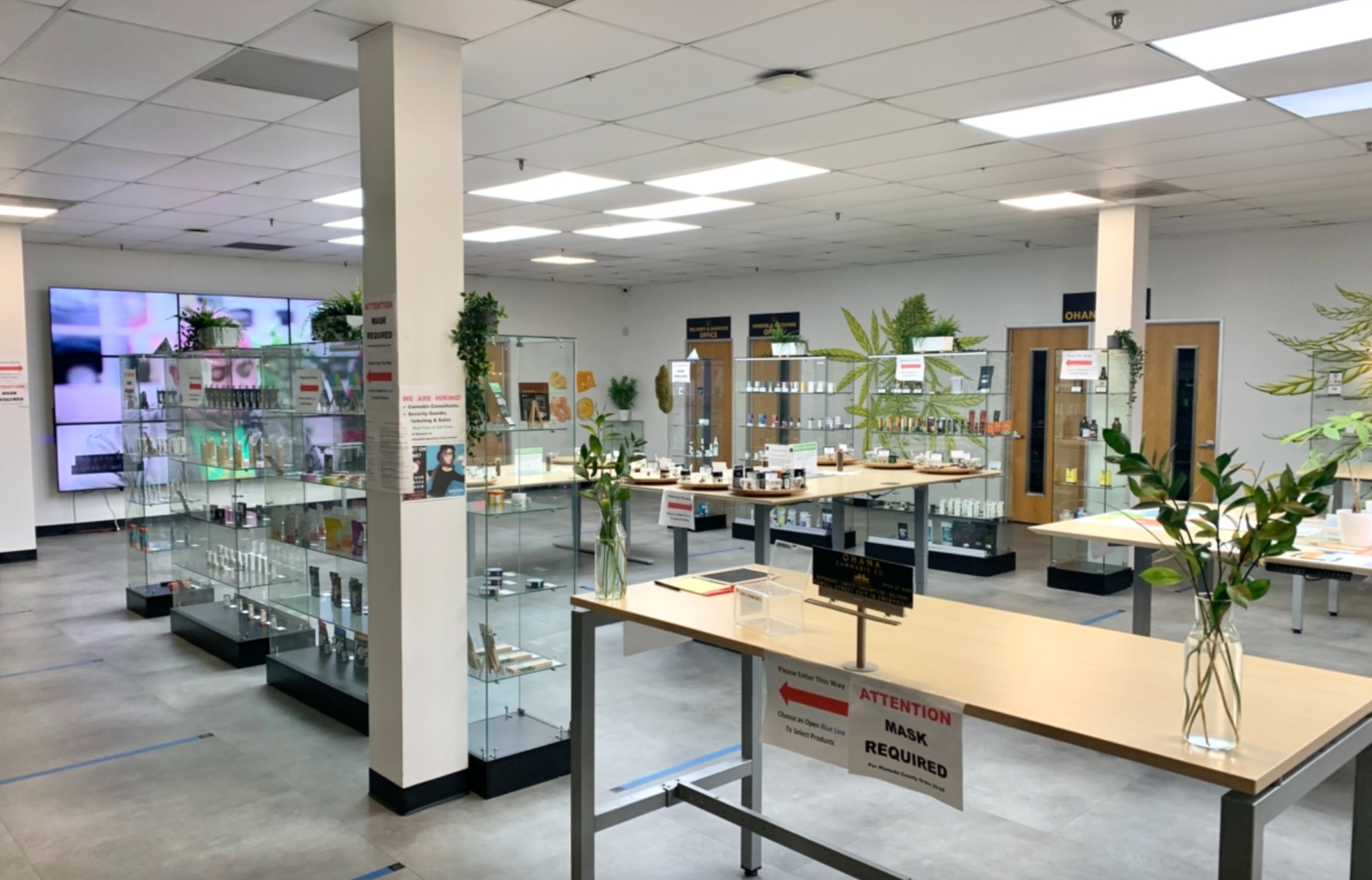 Best Dispensaries In Oakland, CA