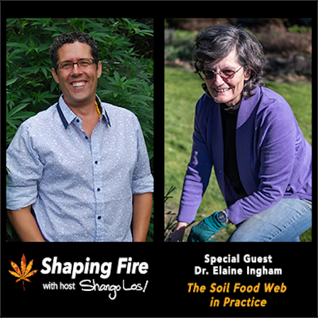 Top 10 Cannabis Podcasts To Listen To