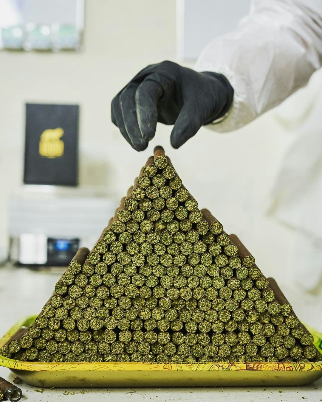 Lobo: A Premium Pre-Roll & Flower Brand Driven By Passion