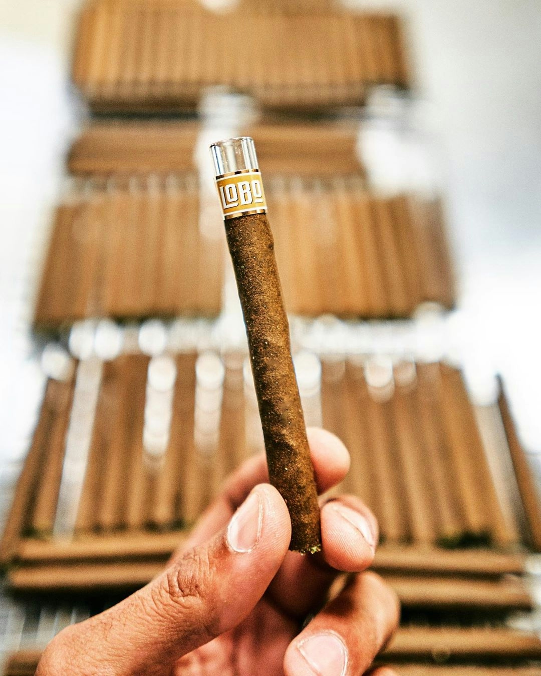 Lobo: A Premium Pre-Roll & Flower Brand Driven By Passion