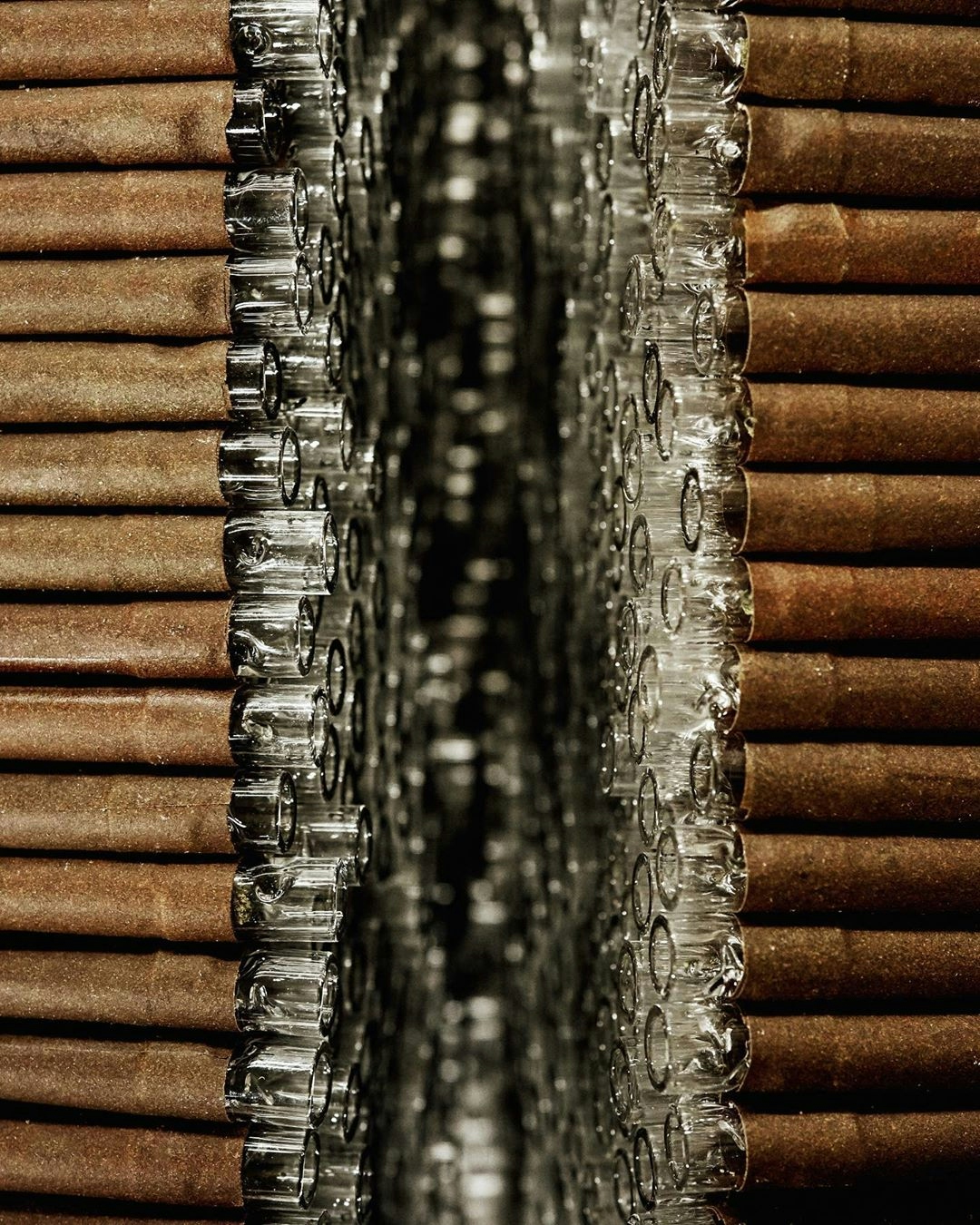 Lobo: A Premium Pre-Roll & Flower Brand Driven By Passion