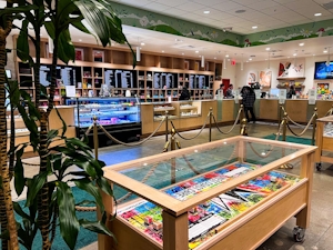 Best 5 Dispensaries In Grand Rapids, MI