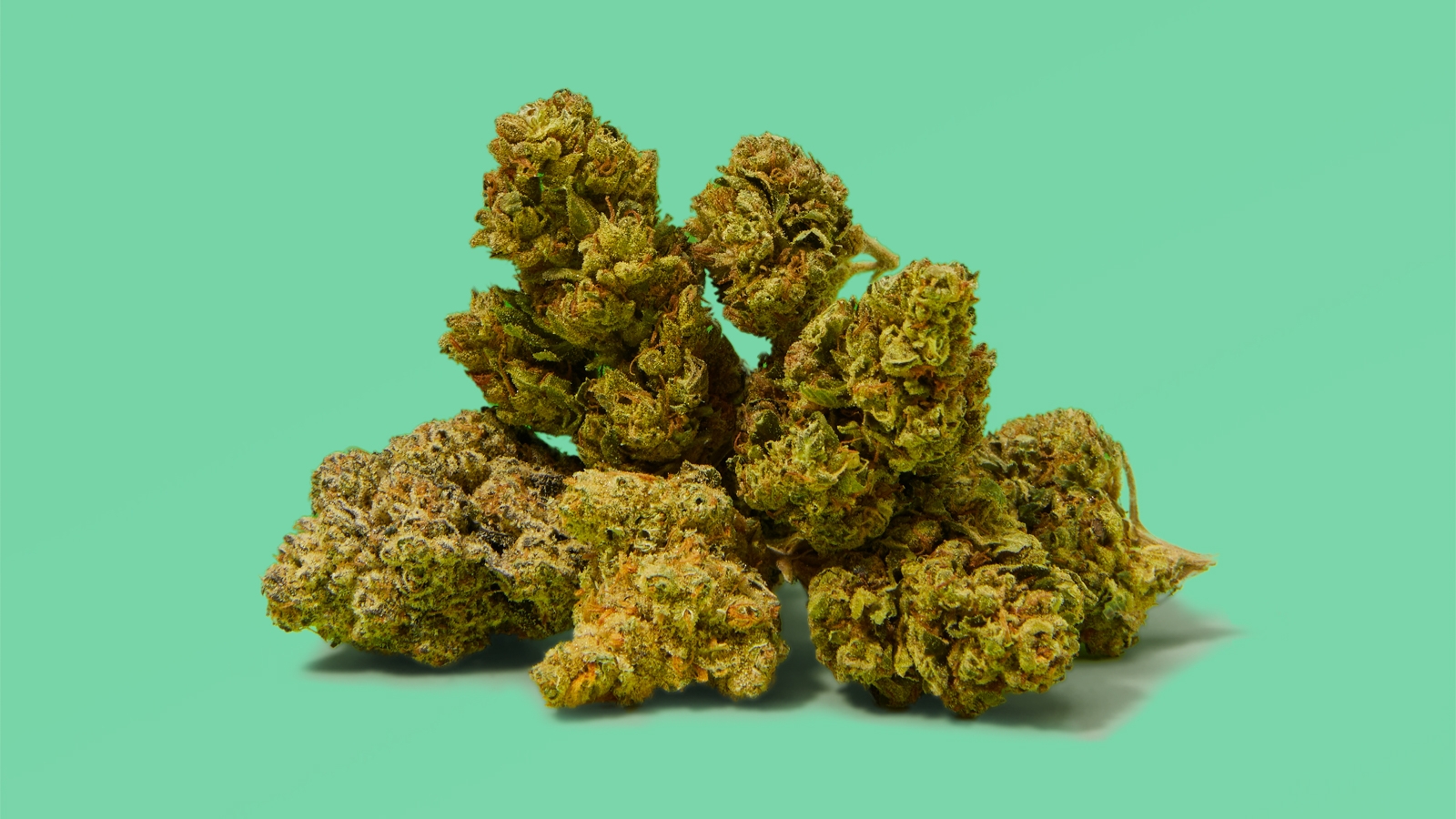 10 Strains That Are CBD Heavy