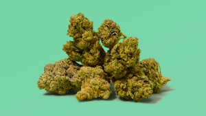 10 Strains That Are CBD Heavy