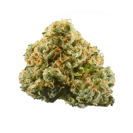 10 Best CBD Heavy Strains