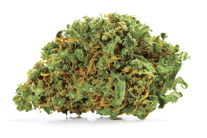 10 Best CBD Heavy Strains