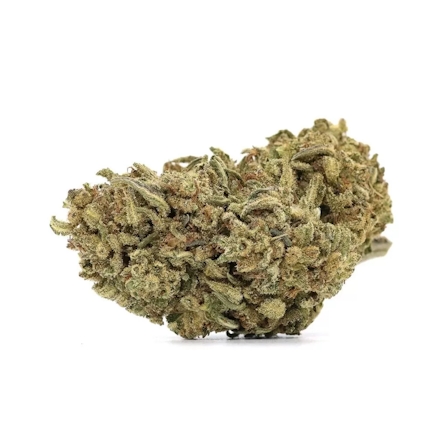 10 Best CBD Heavy Strains