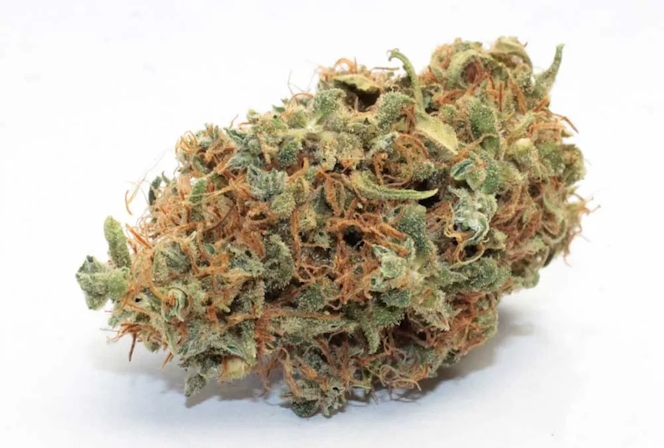 10 Best CBD Heavy Strains