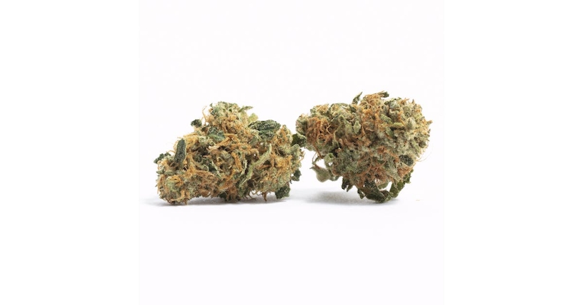 10 Best CBD Heavy Strains