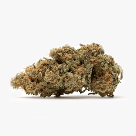 10 Best CBD Heavy Strains