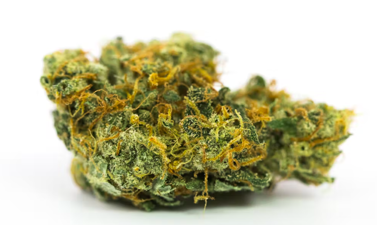 The Top 10 Strains To Smoke On A Road Trip