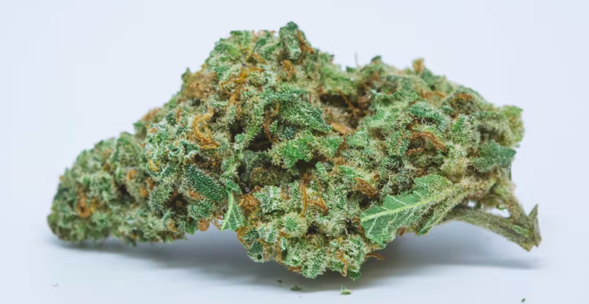 The Top 10 Strains To Smoke On A Road Trip