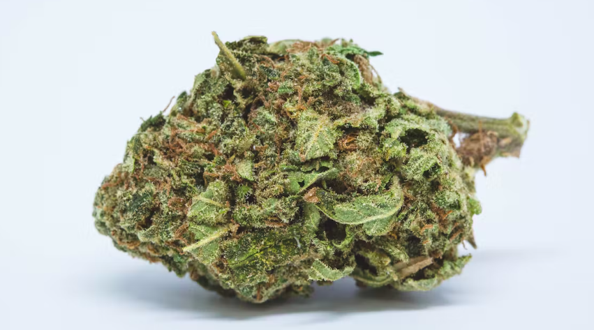 The Top 10 Strains To Smoke On A Road Trip