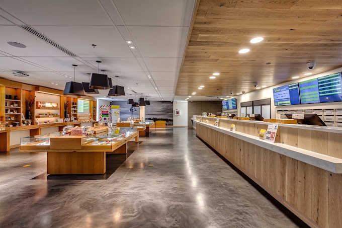 4 Best Dispensaries In Scottsdale, AZ