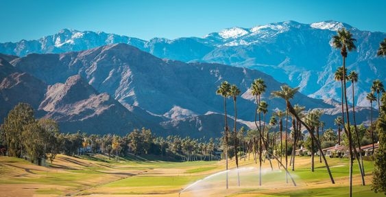 Field Trip: The Best Things To Do In Coachella, CA