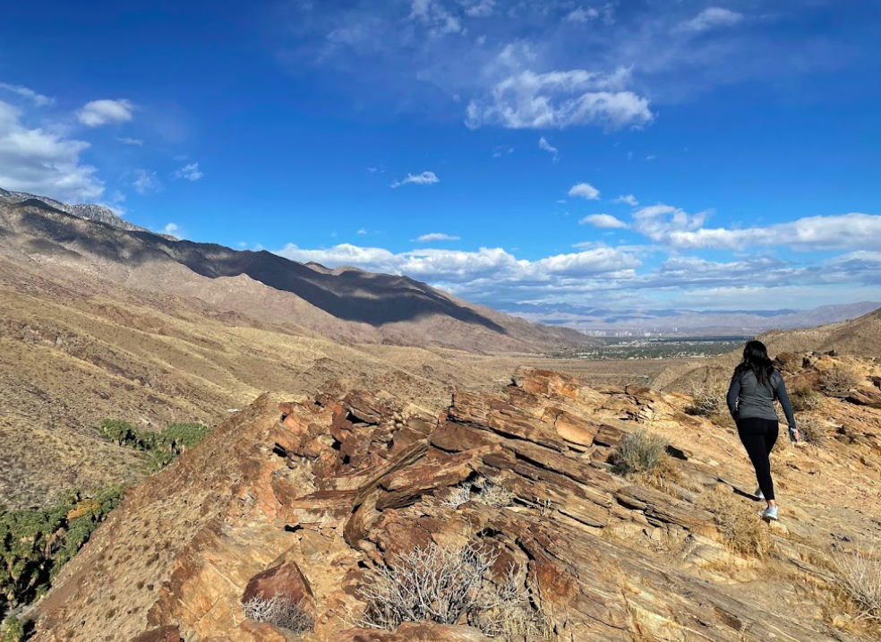 Field Trip: The Best Things To Do In Coachella, CA