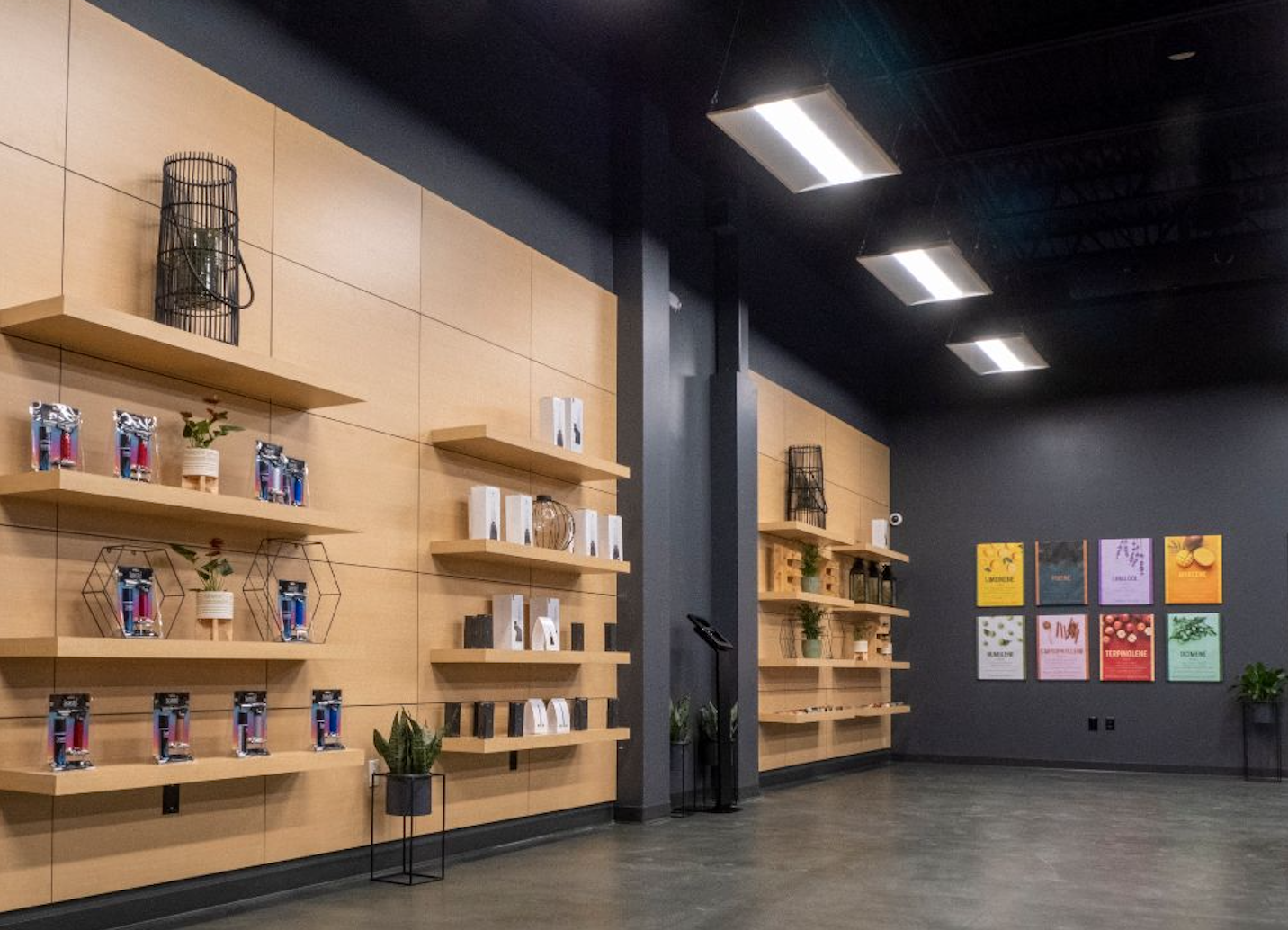 Best 5 Cannabis Dispensaries In Blue Springs, MO