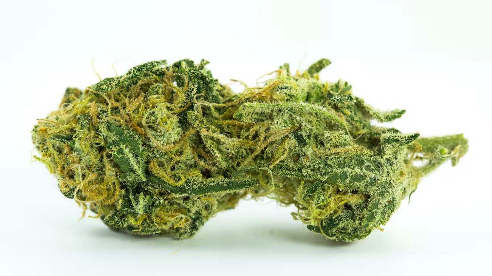 Weed That Makes You Laugh: Top 10 Strains