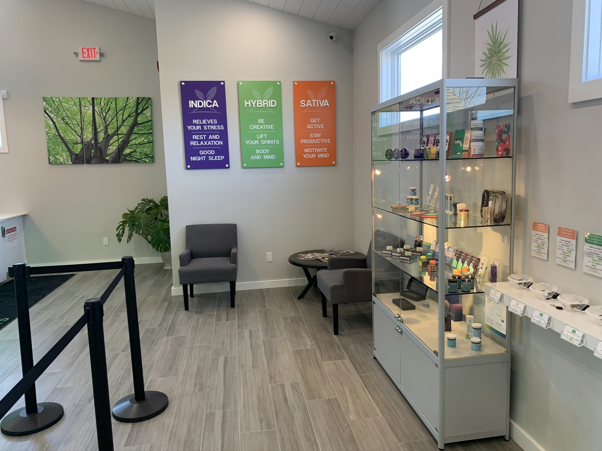 The Best Dispensaries In Albany, NY