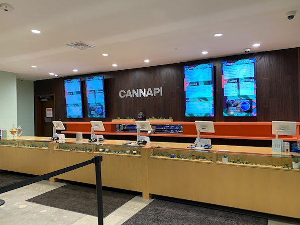 5 Best Dispensaries In Brockton, MA