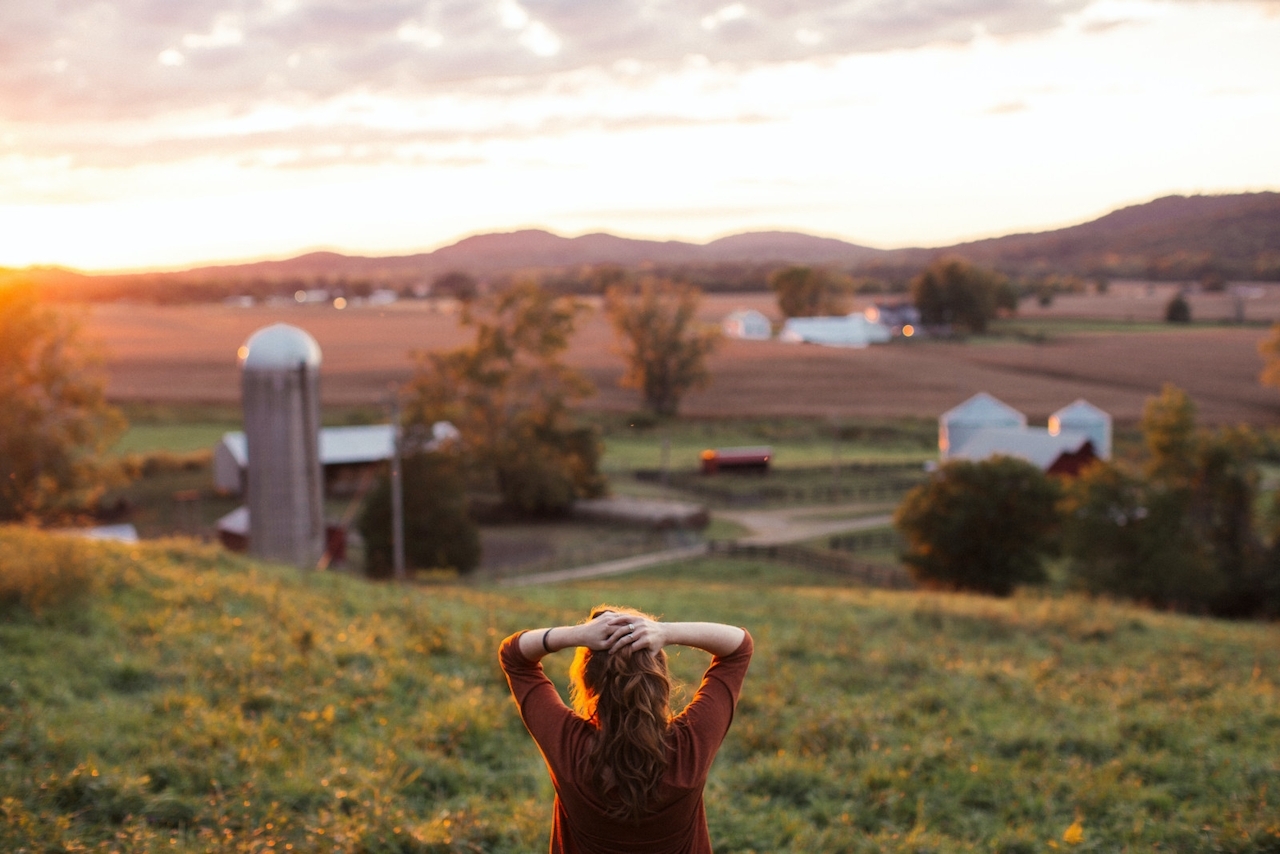 Hemp Hop’s Wide-Ranging Product Selection Is Every Connoisseur’s Dream