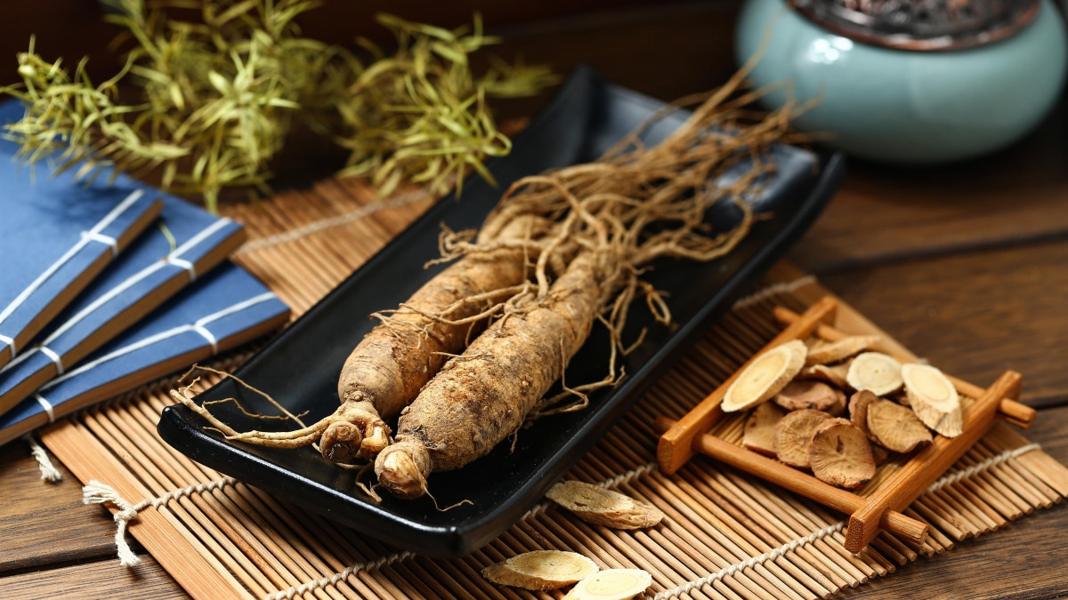 The Herbalist: The 10 Best Medicinal Herbs