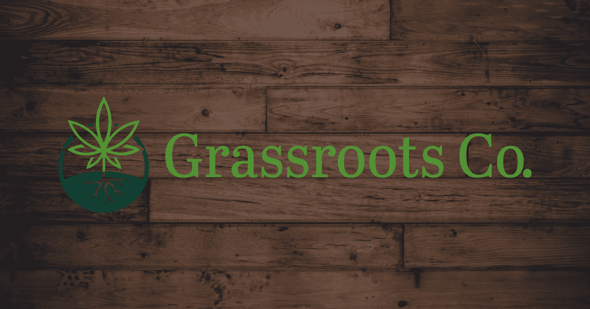 The Best Dispensaries In Brandon, VT